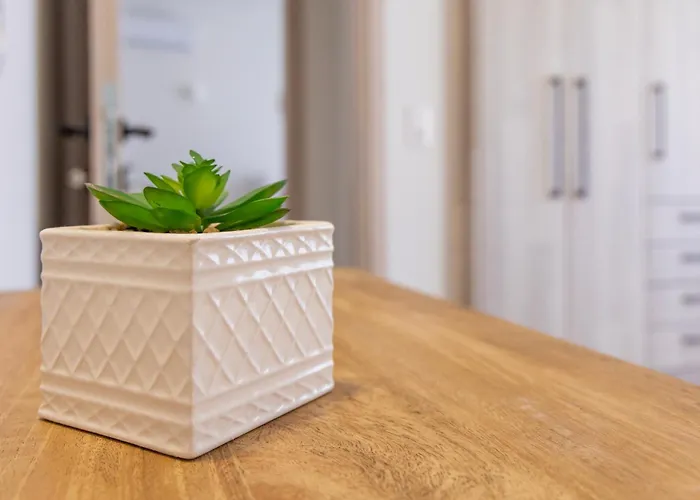 Anesis Luxury Hospitality 아파트